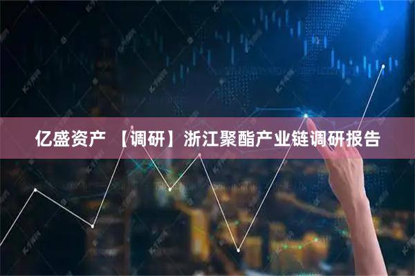 亿盛资产 【调研】浙江聚酯产业链调研报告
