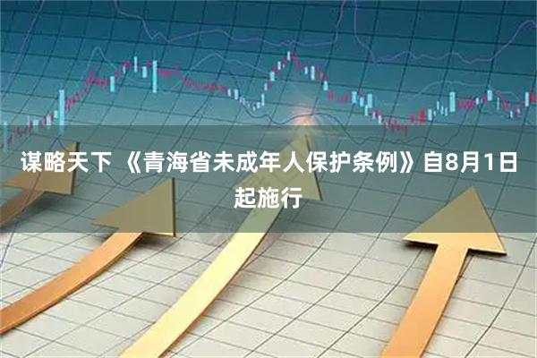 谋略天下 《青海省未成年人保护条例》自8月1日起施行